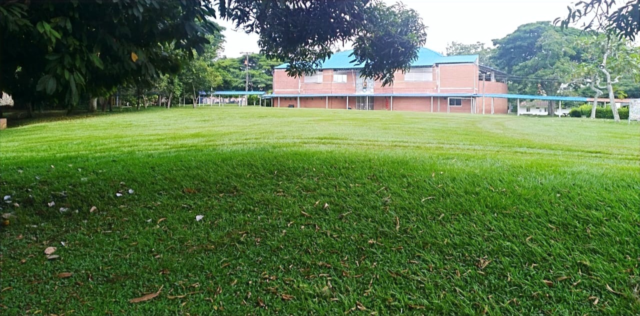 Zonas verdes del colegio